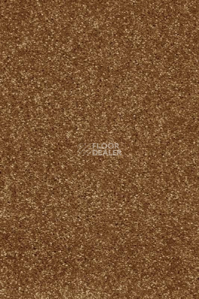 Ковролин AW Invictus Atticus Atticus 80 фото 1 | FLOORDEALER